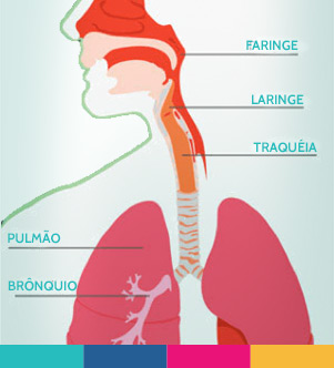 Pneumonias - Ilustração 1